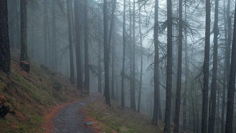 Best Chicago Neighborhoods for a Night Out by Party Bus (2026 Guide) - group transportation