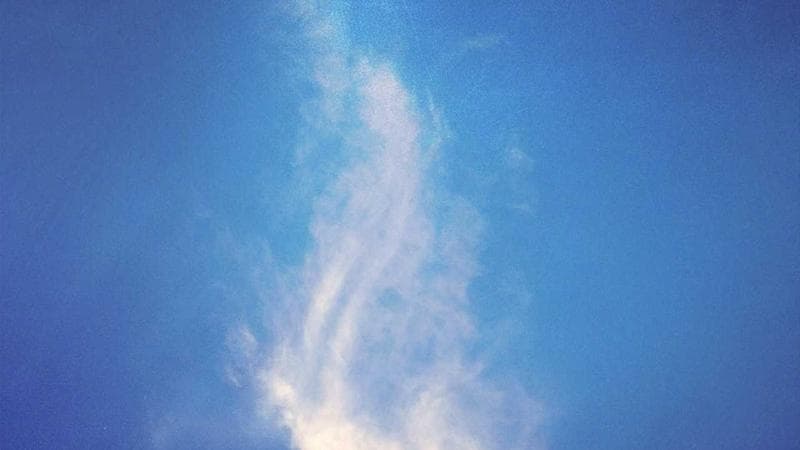 Best Party Bus Routes in Chicago for an Epic Night Out - Chicago party bus experience