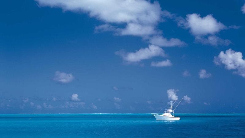 Best Fall Activities and Halloween Bar Crawls in Chicago for 2026 - group celebration