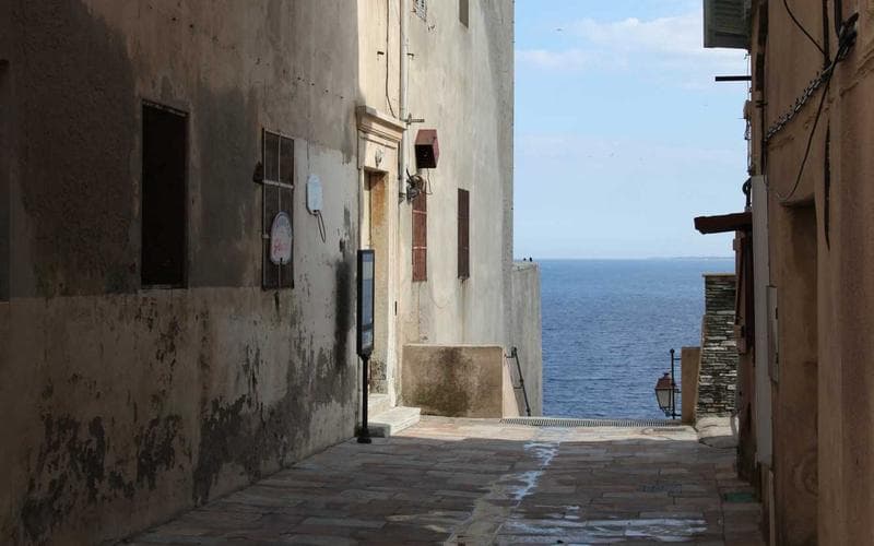 Holiday Lights celebration on a party bus
