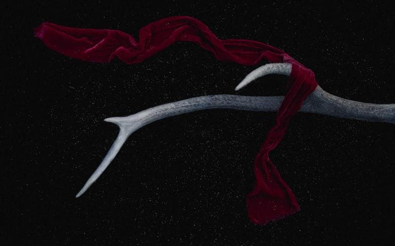 Sporting Events celebration on a party bus