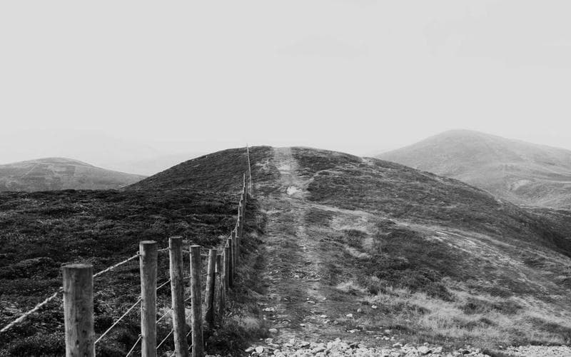 Bar Crawls group event in Chicago