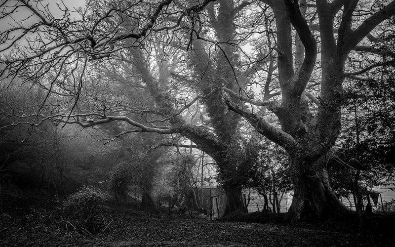 Pub Crawls in Chicago - photo 1
