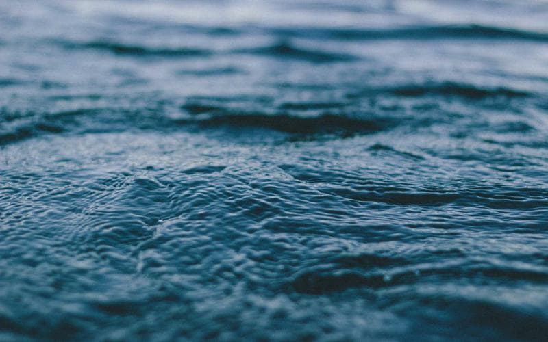 Sporting Events in Chicago - photo 4