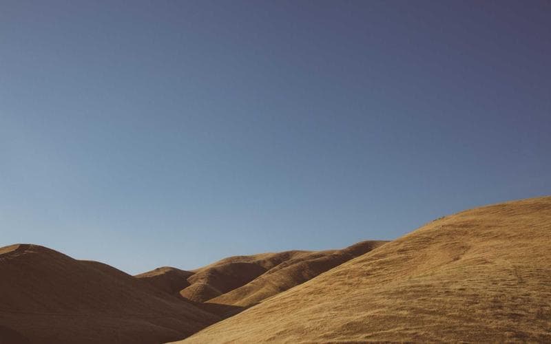 Charter Services celebration on a party bus