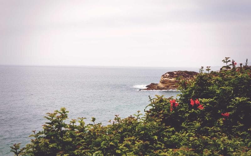 Chicago team building party bus experience