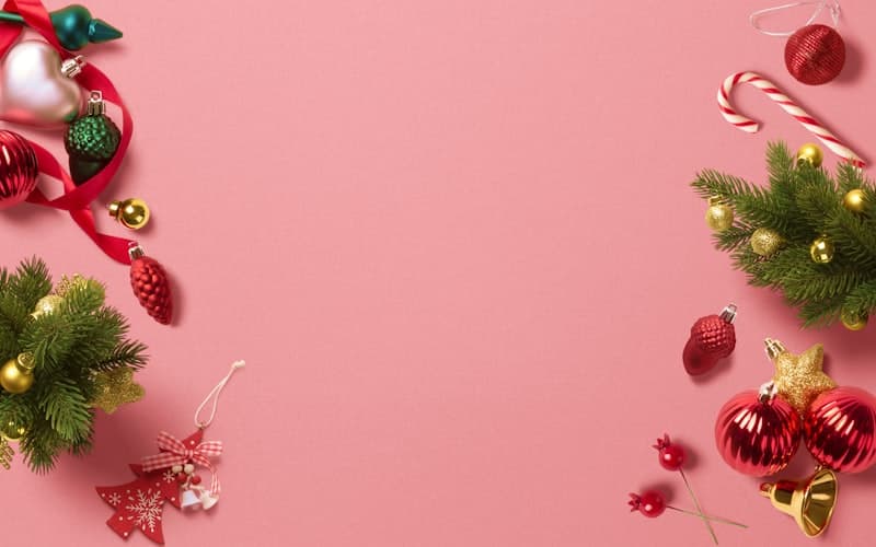 Holiday Lights party bus experience in Chicago