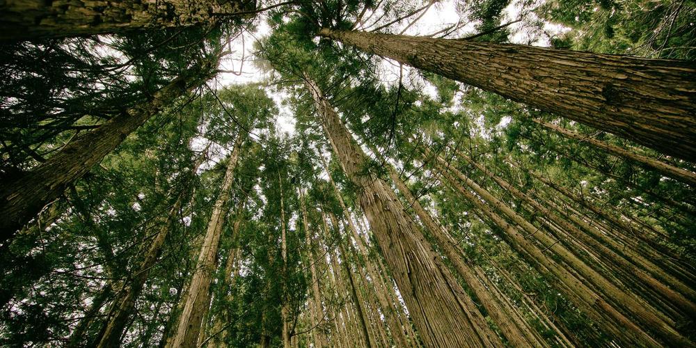 Popular destinations and venues in Joliet