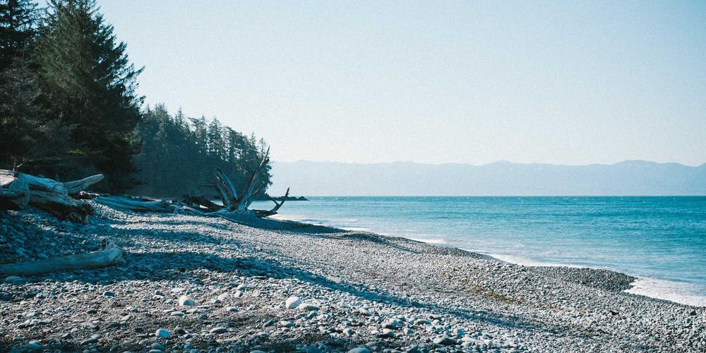 Complete guide to renting a party bus in Joliet